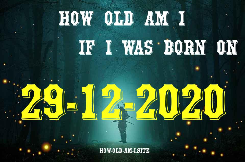 ᐈ Born On 29 December 2020 My Age in 2024? [100% ACCURATE Age Calculator!]